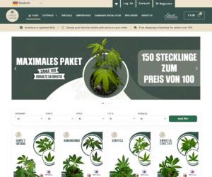 WordPress Website Development Project